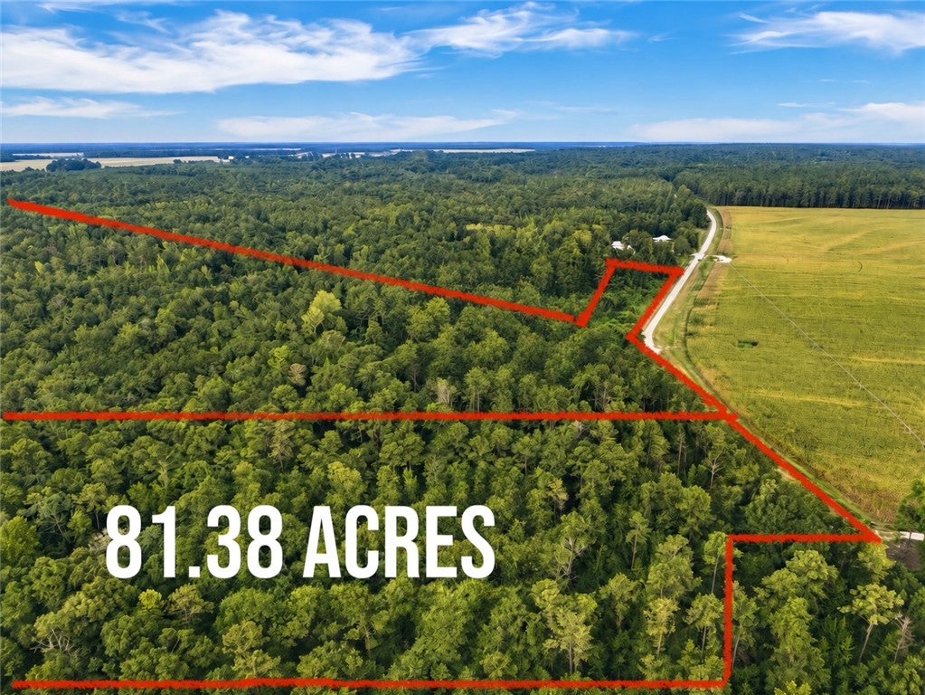 Photo of 0 COUNTY ROAD 91, Tuskegee, AL 36083 (MLS # 182164)