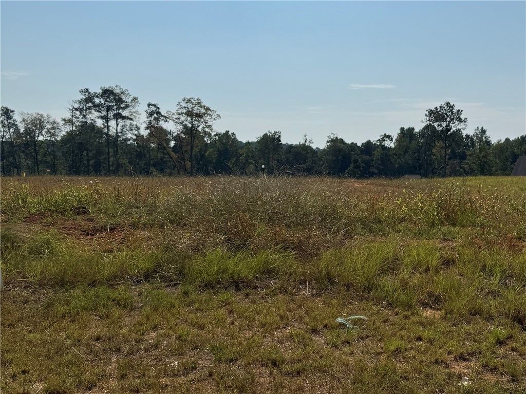 Photo of 17 LONG LEAF Lane, Opelika, AL 36804 (MLS # 176703)