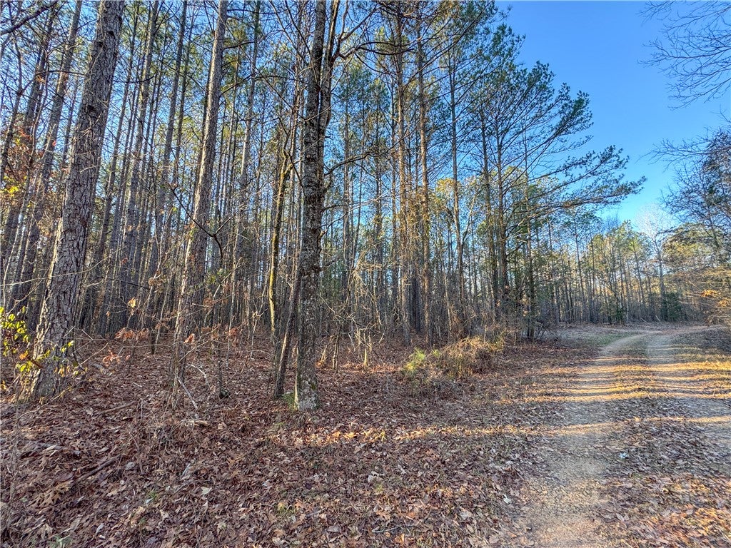 Photo of 3427 SEALS Street, Waverly, AL 36879 (MLS # 182486)