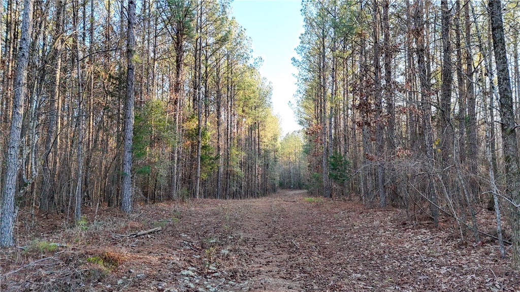 Photo of 3427 SEALS Street, Waverly, AL 36879 (MLS # 182486)