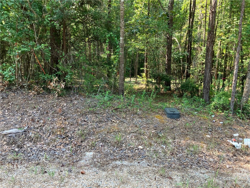 Photo of 2031 LEE ROAD 45, Opelika, AL 36804 (MLS # 182008)