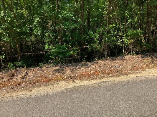 2031 LEE ROAD 45, OPELIKA, AL 36804 - Image df73e06b95d0ee62e33bb26aa87fcf02/1601947599