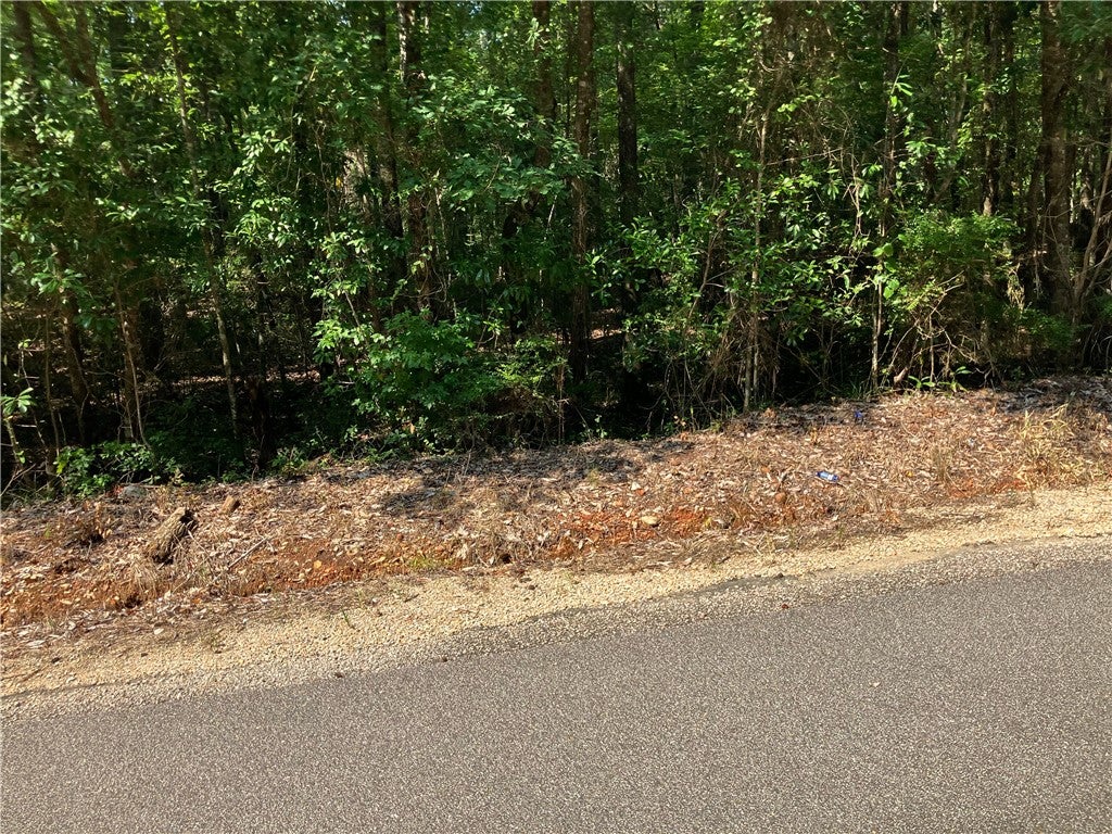 Photo of 2031 LEE ROAD 45, Opelika, AL 36804 (MLS # 182008)