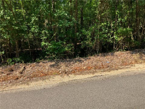 Photo of 2031 LEE ROAD 45, Opelika, AL 36804 (MLS # 182008)