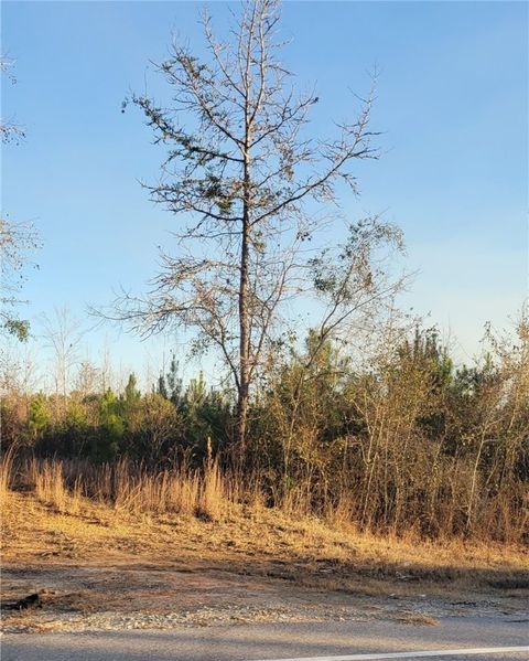 Photo of 00 S US HIGHWAY 29, Tuskegee, AL 36083 (MLS # 178005)