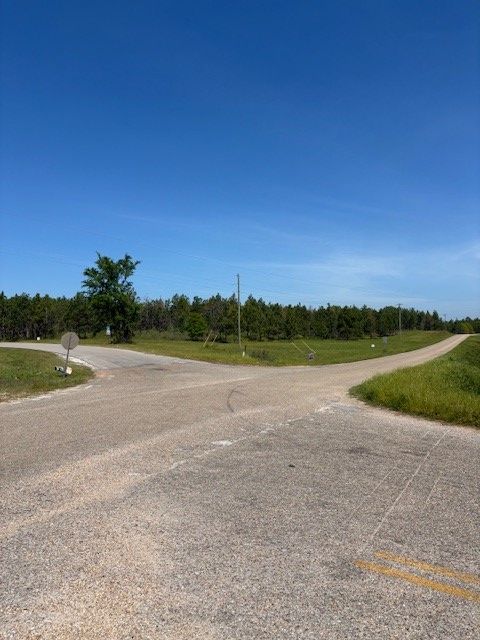 Photo of 1 SOCIETY HILL Road, Auburn, AL 36830 (MLS # 179910)