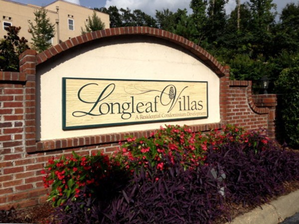 447 W LONGLEAF Drive 101