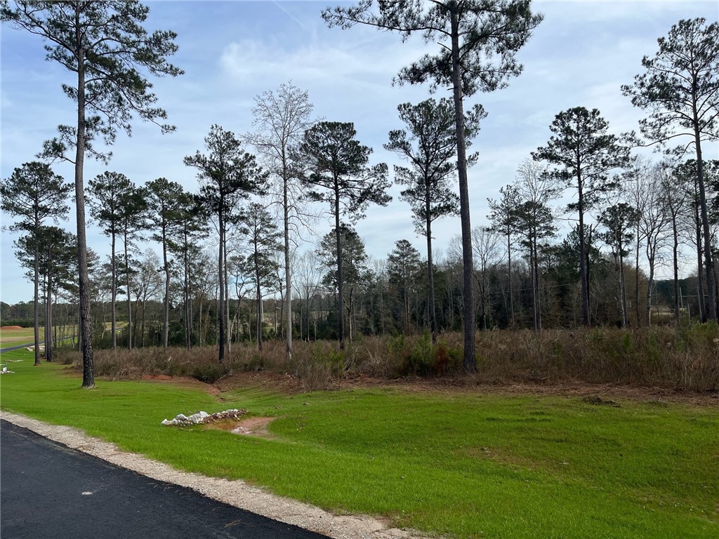 2065 MOURNING DOVE Lane