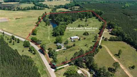 Photo of 8280 COUNTY ROAD 222, Five Points, AL 36855 (MLS # 180639)