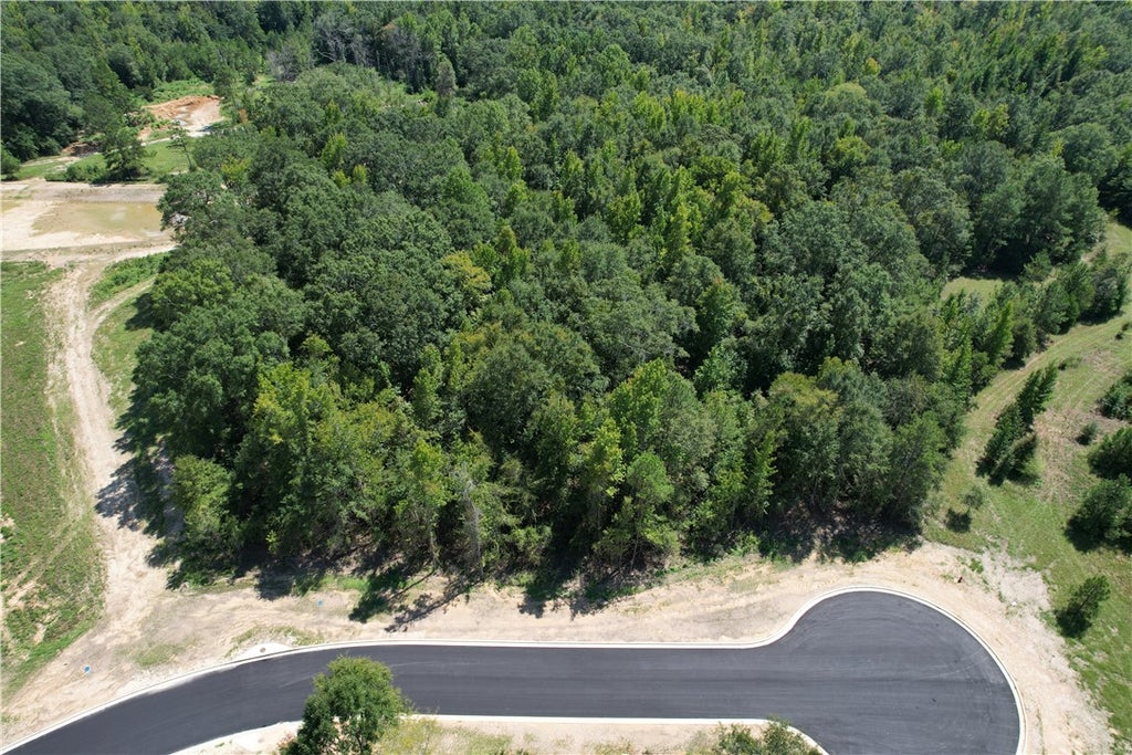 Photo of 12 HOMESTEAD Lane, Smiths Station, AL 36877 (MLS # 182228)