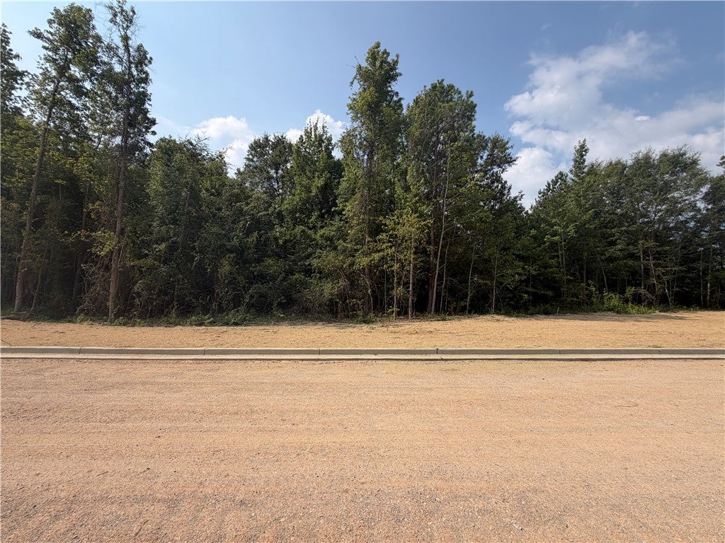 Photo of 12 HOMESTEAD Lane, Smiths Station, AL 36877 (MLS # 182228)