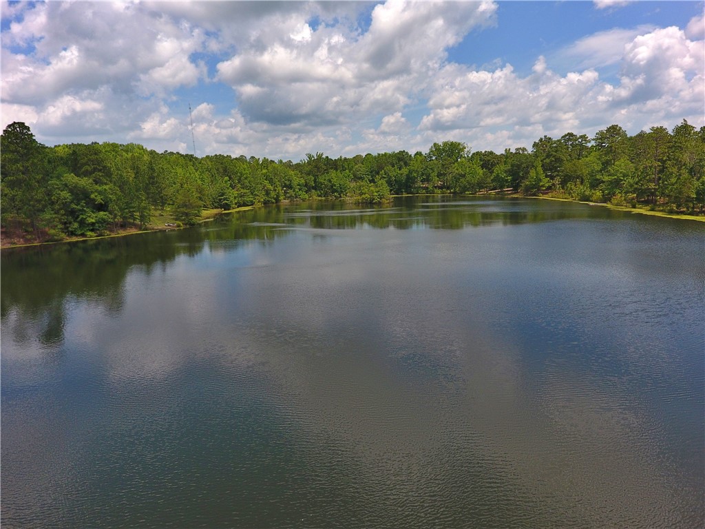 295 LEE ROAD 43
