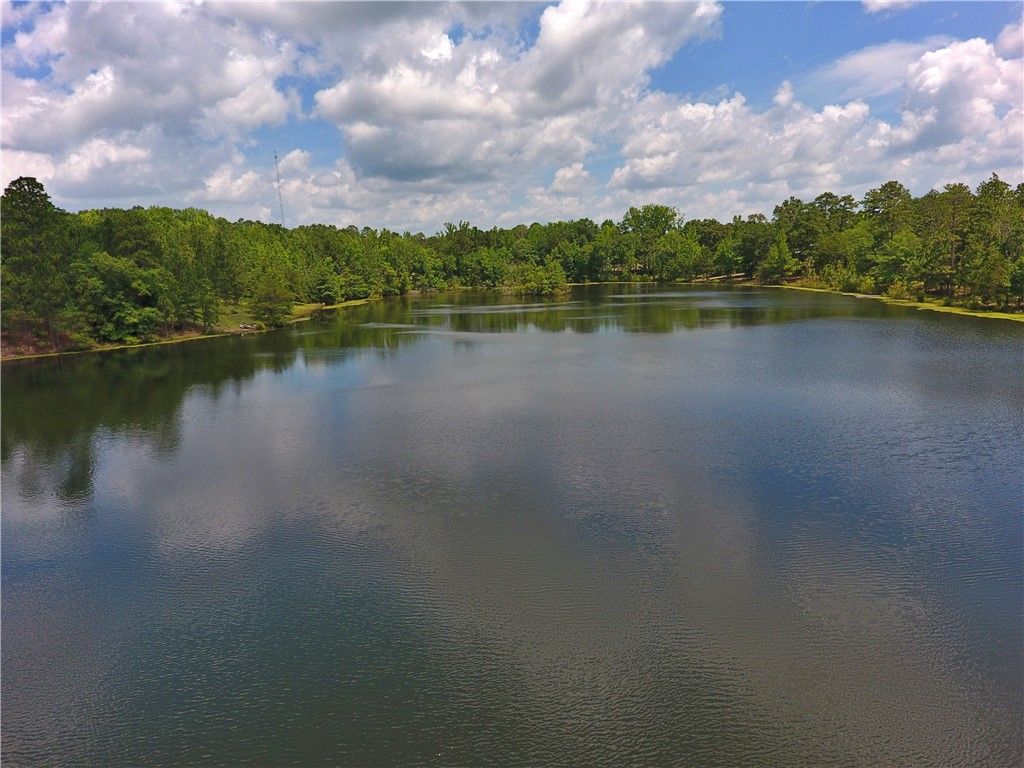 Photo of 295 LEE ROAD 43, Beauregard, AL 36804 (MLS # 175298)