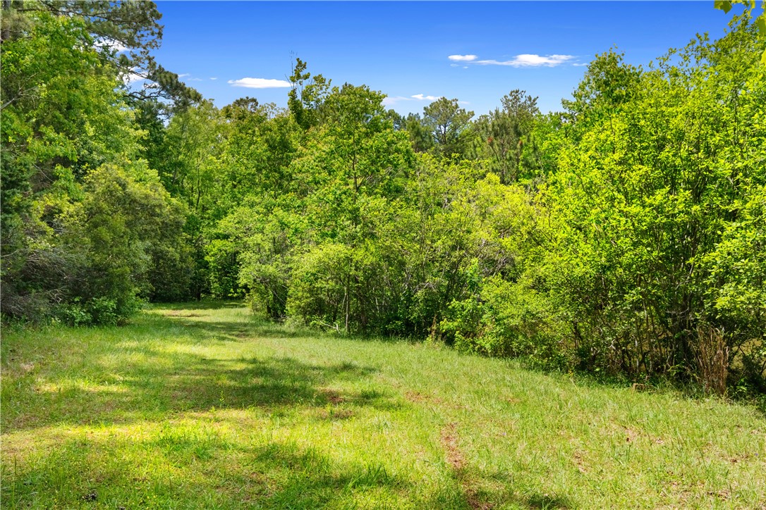 Auburn, Alabama 36832, United States, 4 Bedrooms Bedrooms, ,3 BathroomsBathrooms,Residential,Coming Soon,150947