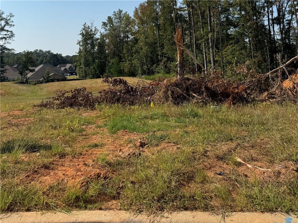 Photo of 12 LONG LEAF Lane, Opelika, AL 36804 (MLS # 176675)