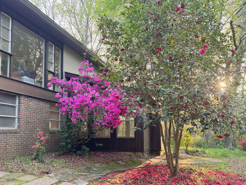 617 CARY Drive