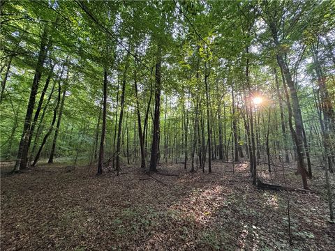 6200 JACKSON Waverly AL 36879