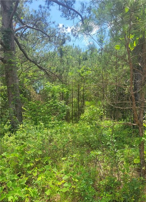 Photo of 00 O. B. BROWN Road, Auburn, AL 36830 (MLS # 180775)