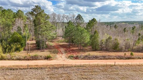 Photo of 0 COUNTY ROAD 65, Lafayette, AL 36862 (MLS # 179676)
