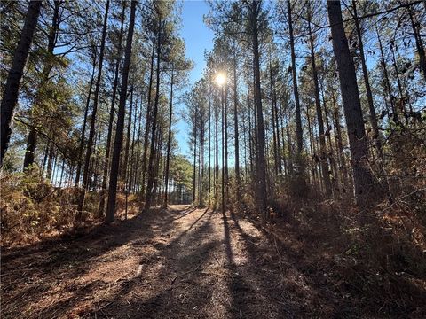 Photo of 0 COUNTY ROAD 48, Lafayette, AL 36862 (MLS # 178066)