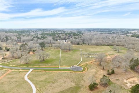 Photo of 1573 ROCKHOUSE FARMS Road, Auburn, AL 36830 (MLS # 179086)