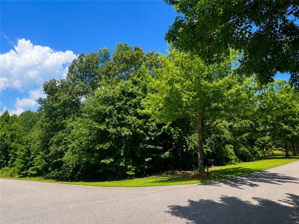 Photo of 17 LEE ROAD 2159, Opelika, AL 36804 (MLS # 181442)