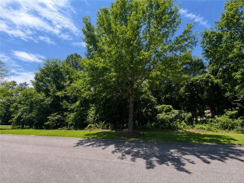Photo of 17 LEE ROAD 2159, Opelika, AL 36804 (MLS # 181442)