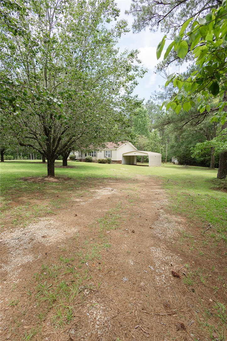 3499 COUNTY ROAD 388