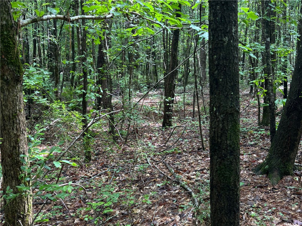 0 COUNTY ROAD 85