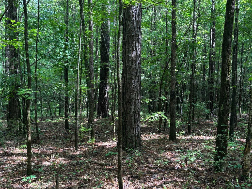 0 COUNTY ROAD 85