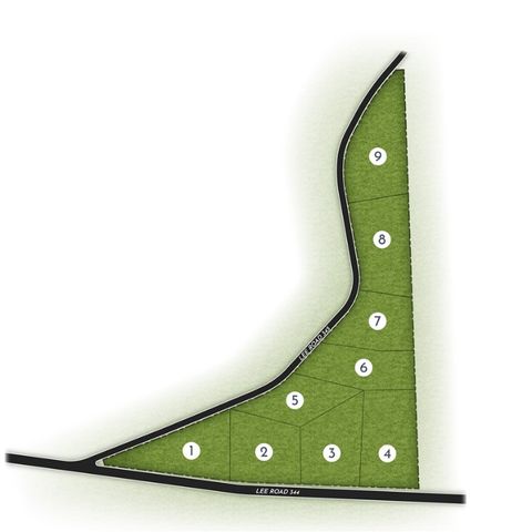 Lot 8 LEE ROAD 345 Salem AL 36874