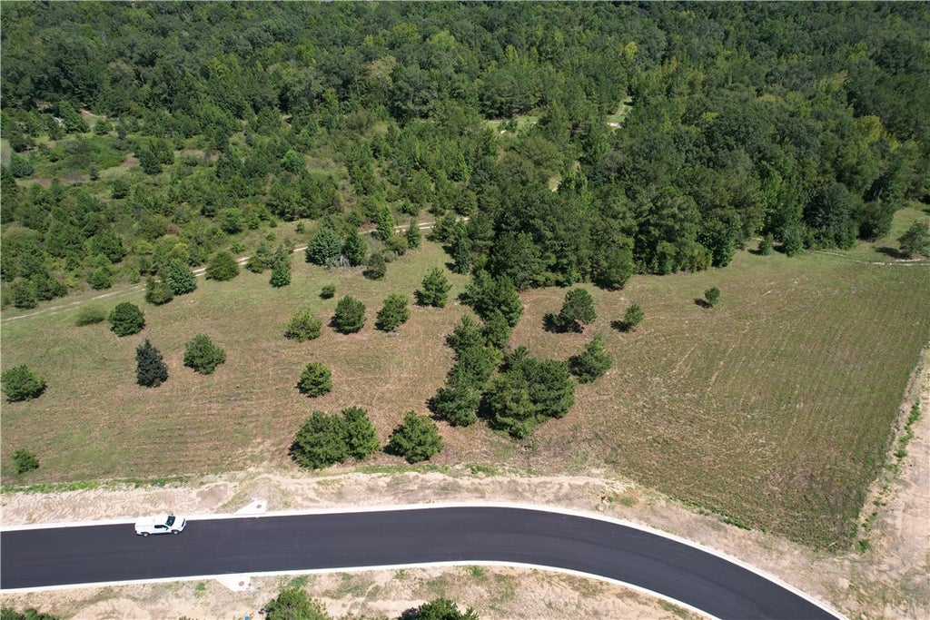 Photo of 8 HOMESTEAD Lane, Smiths Station, AL 36877 (MLS # 182224)