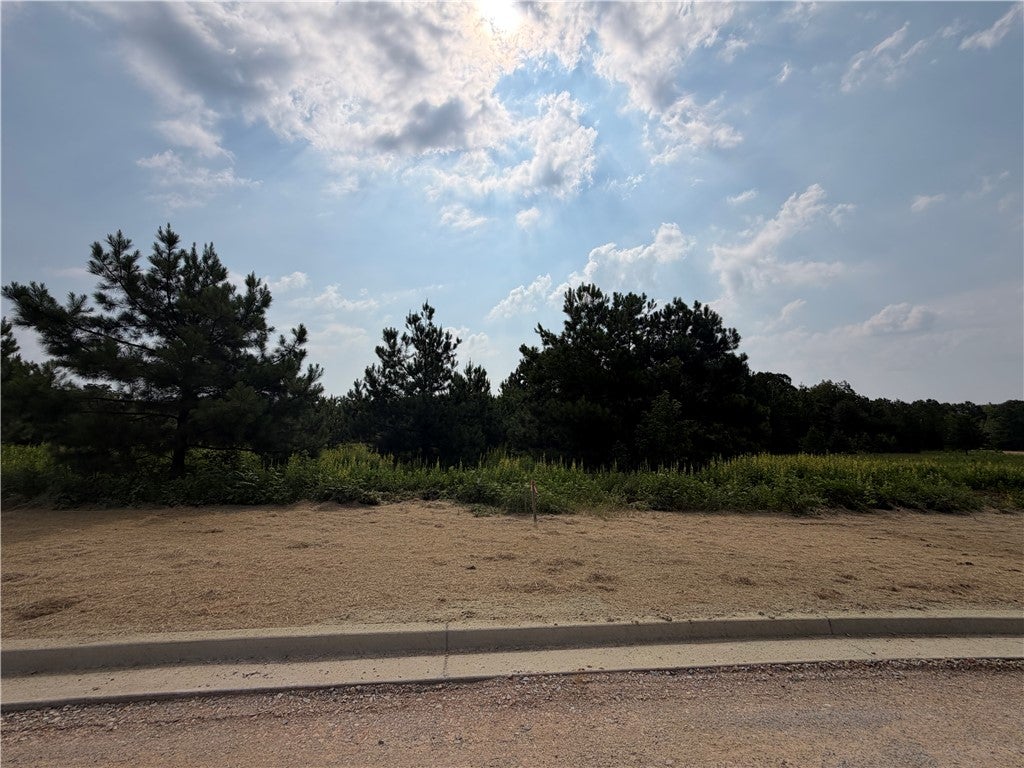 Photo of 8 HOMESTEAD Lane, Smiths Station, AL 36877 (MLS # 182224)