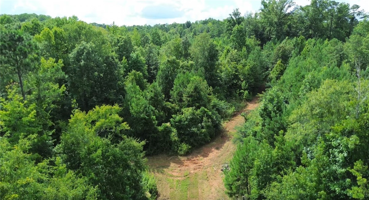 3198 LEE ROAD 246