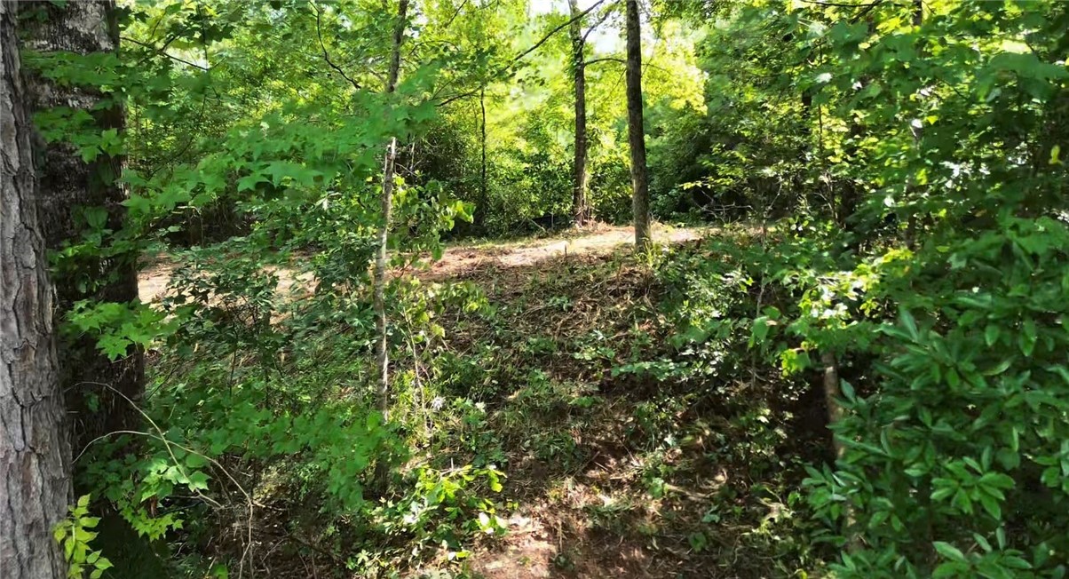 3198 LEE ROAD 246