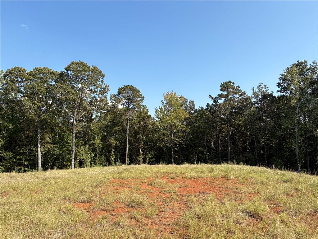 347 EAGLE RIDGE Lane