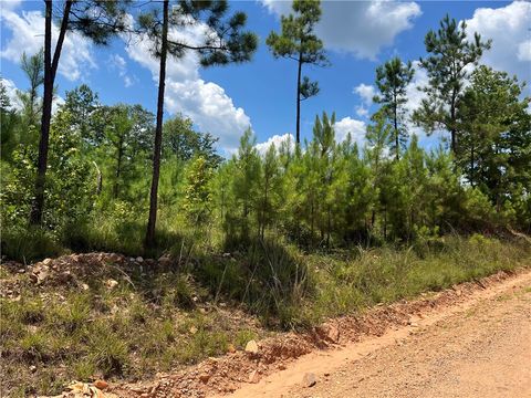 5115 LEE ROAD 254 Salem AL 36874