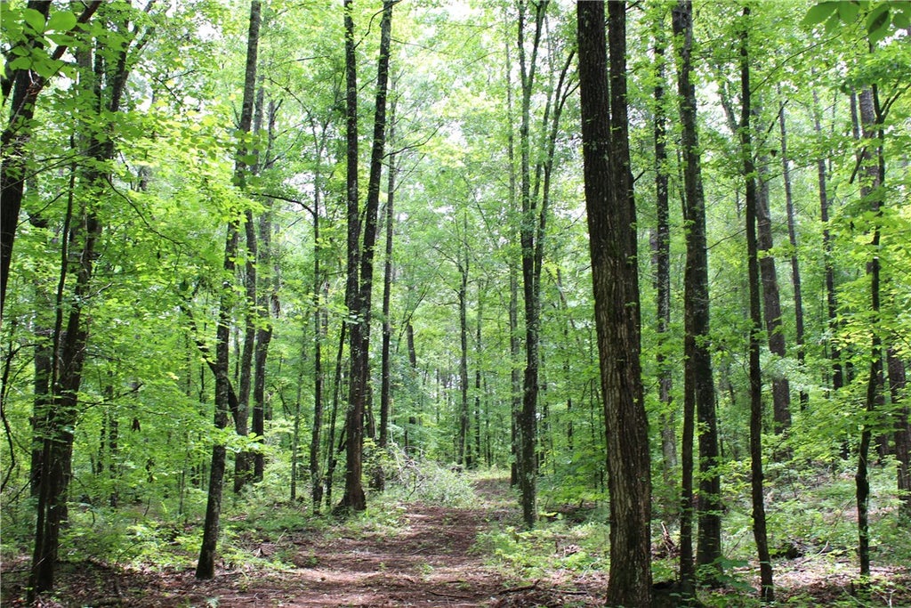 Photo of Goodwater, AL 35072 (MLS # 180928)