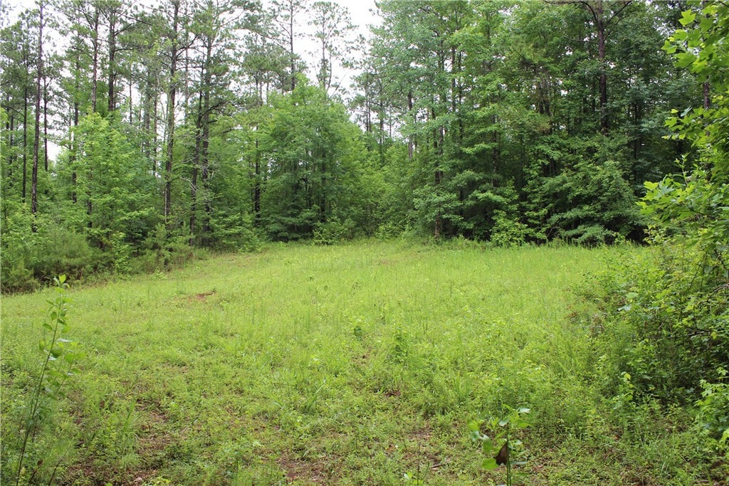 Photo of Goodwater, AL 35072 (MLS # 180928)