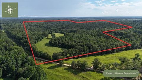 Photo of 260 County Road 14, Union Springs, AL 36089 (MLS # 176669)