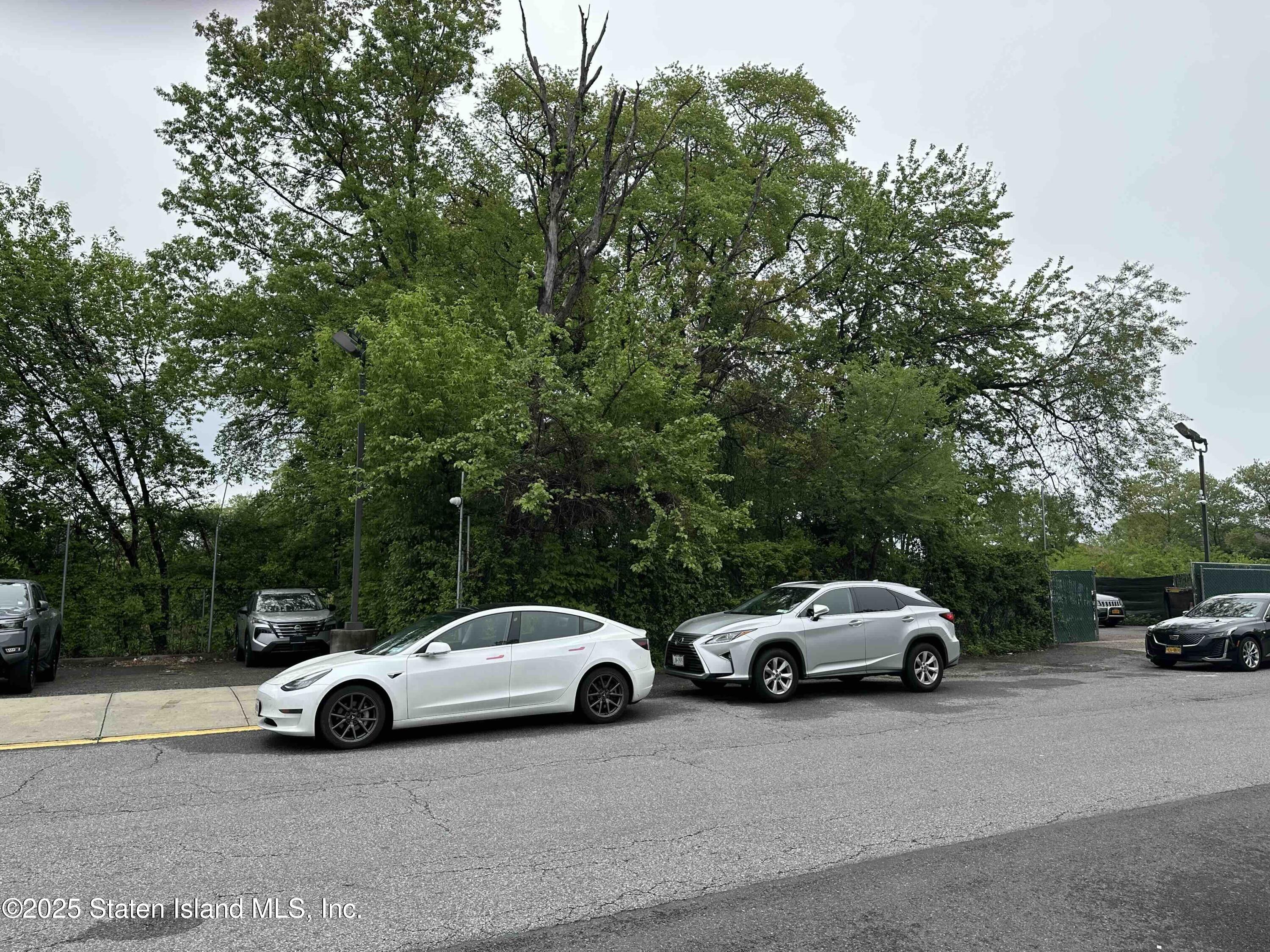 Stobe Avenue, Staten Island, New York image 2