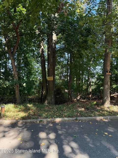 Photo of 47 Longfellow Avenue, Staten Island, NY 10301 (MLS # 2506024)