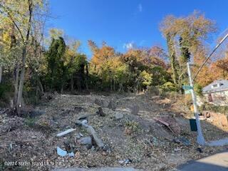 680-684 Van Duzer, Staten Island, New York image 7