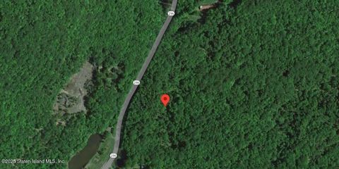 Vacant Land For Sale - 589 Route 296<br/> Jewett, NY 12444