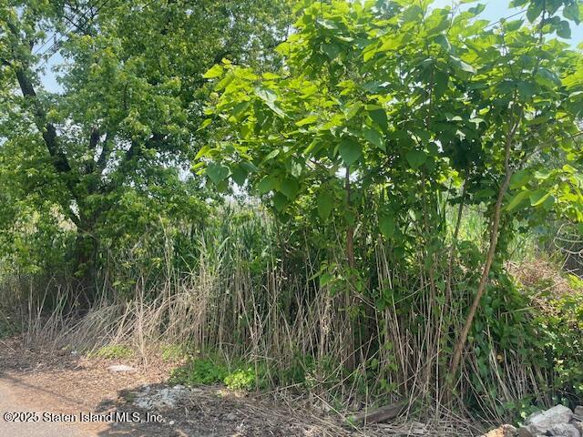 Baden Place, Staten Island, New York image 2
