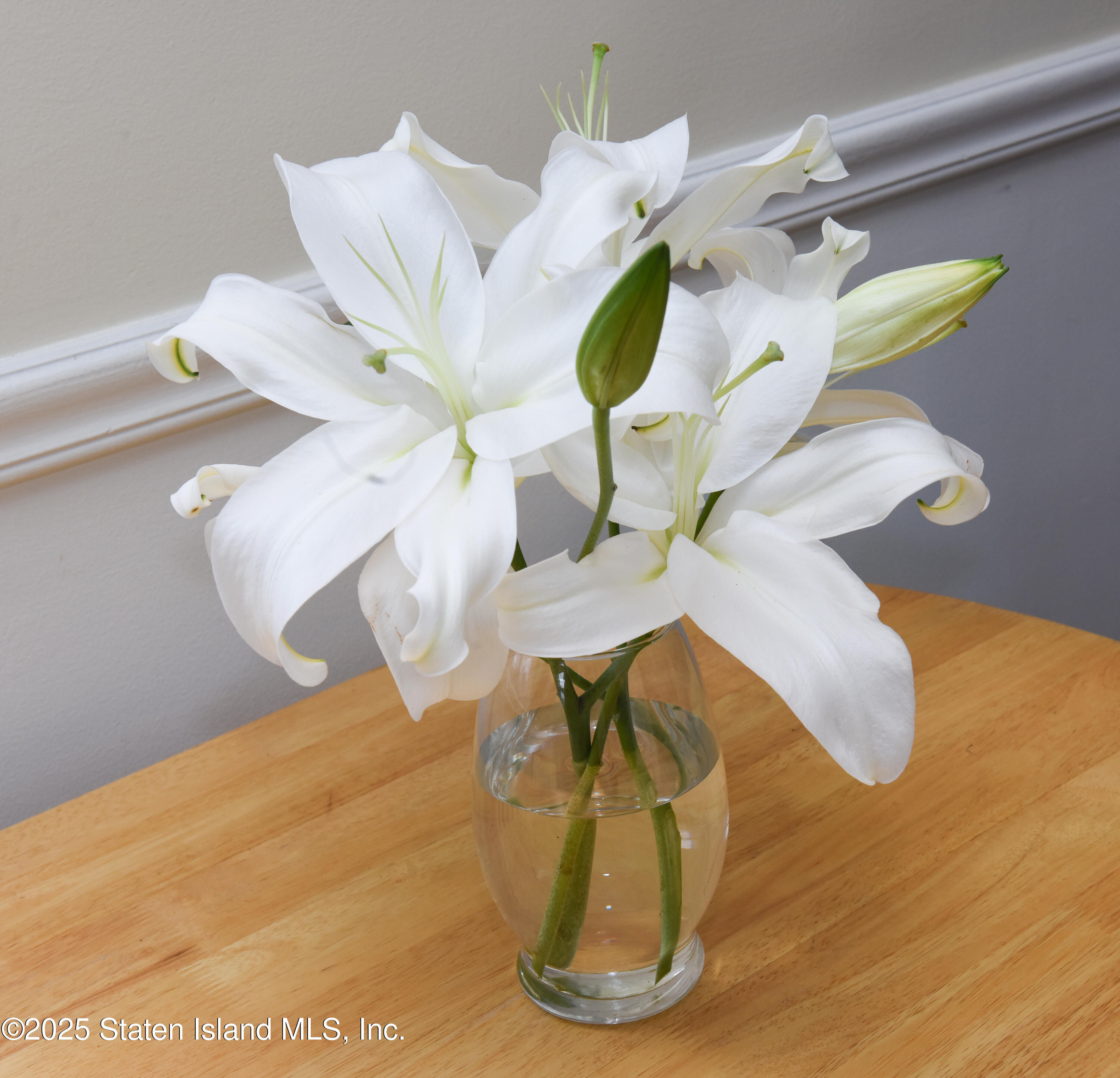 553 Oakland Avenue, Staten Island, New York image 14