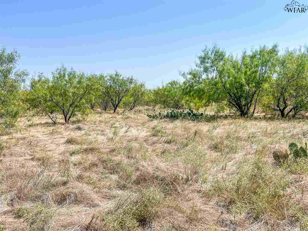 4430 Hwy 380, Throckmorton, Texas image 4