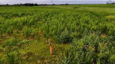 Vacant Land For Sale - Hwy 287<br/> Quanah, TX 79252