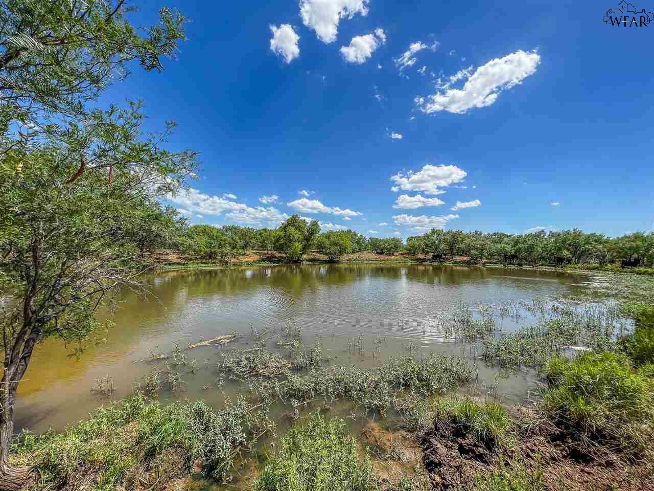 2241 Schlegel Road, Olney, Texas image 4
