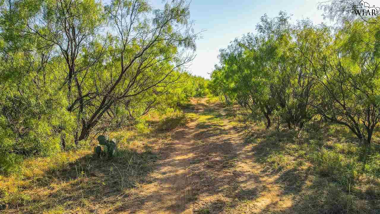 2241 Schlegel Road, Olney, Texas image 7